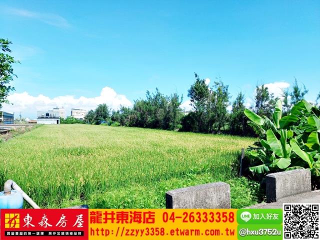 彰化農地-3