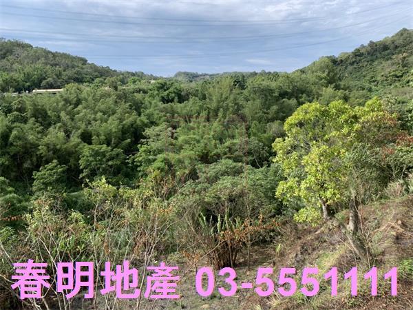 新竹峨眉農地-12