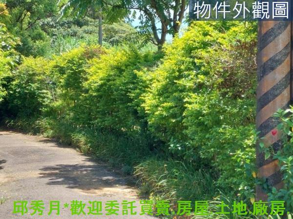 新北農地-5