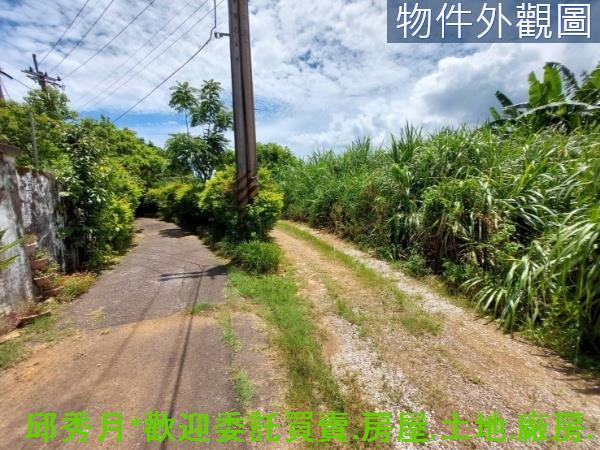 新北農地-6