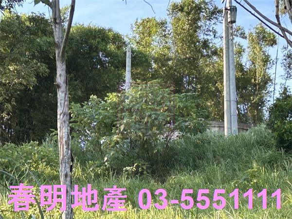 新竹寶山農地-9