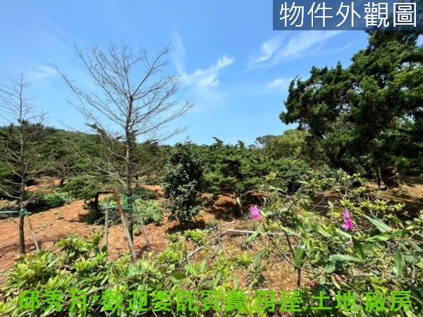 新北石門都市計畫內-4
