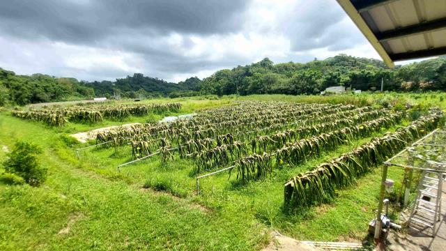 峨眉農地-1