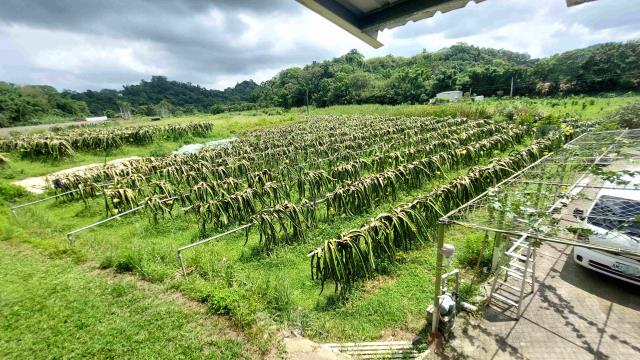 峨眉農地-5