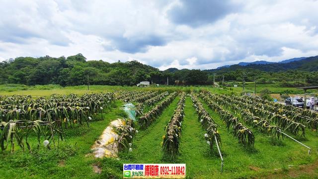 峨眉農地-12