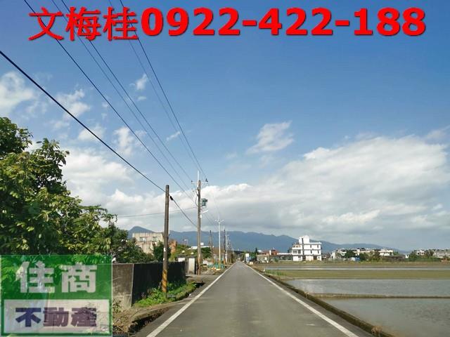 宜蘭礁溪農地-9