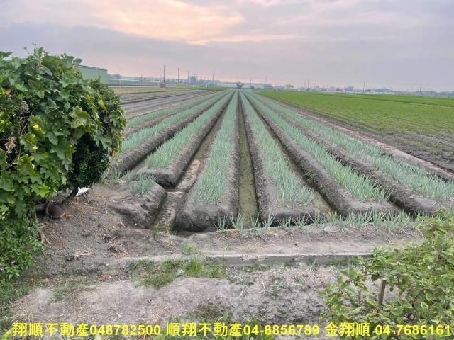彰化二林農地-1