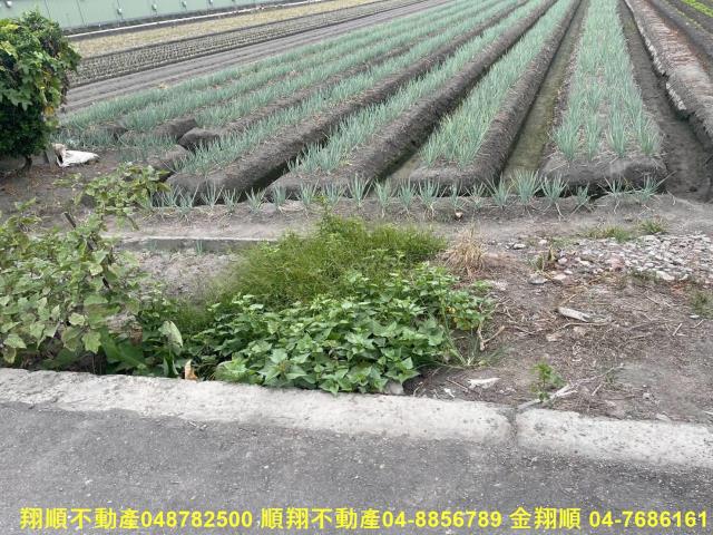 彰化二林農地-3