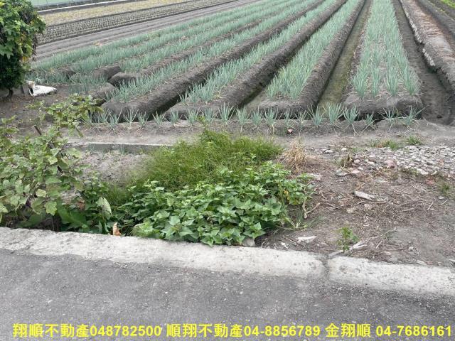 彰化二林農地-4