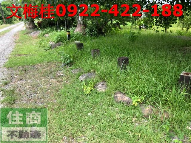 宜蘭宜蘭市農地-6