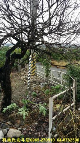 田中農地-3