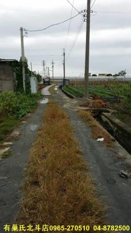田中農地-5