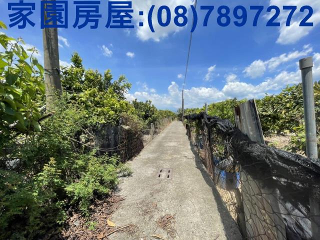 南州農地-1