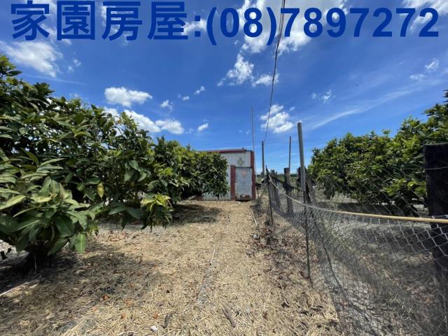 南州農地-3