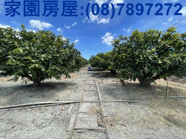 南州農地-4