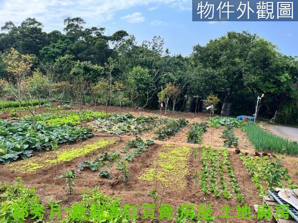 新北淡水農地-1