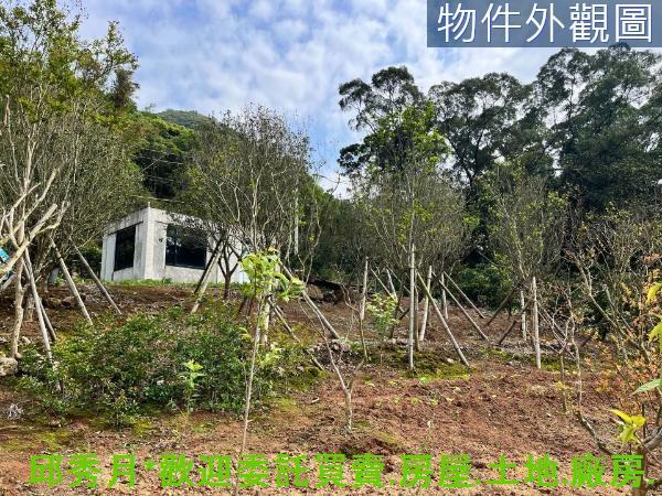 新北淡水農地-2