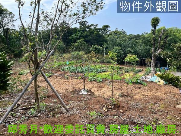新北淡水農地-3