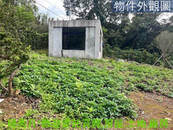新北淡水農地-4