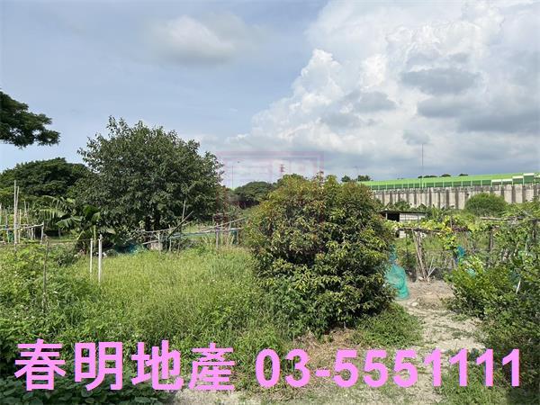 新竹東區農地-3