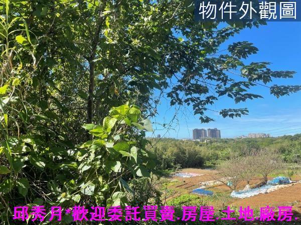 淡水二期二-4