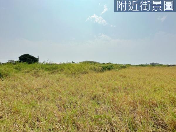 仁德農地-4