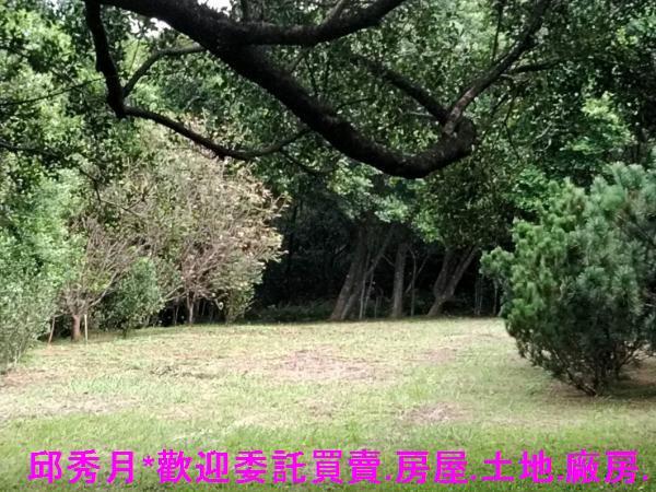 三芝農地-2