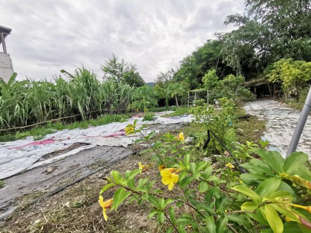 宜蘭員山農地-10