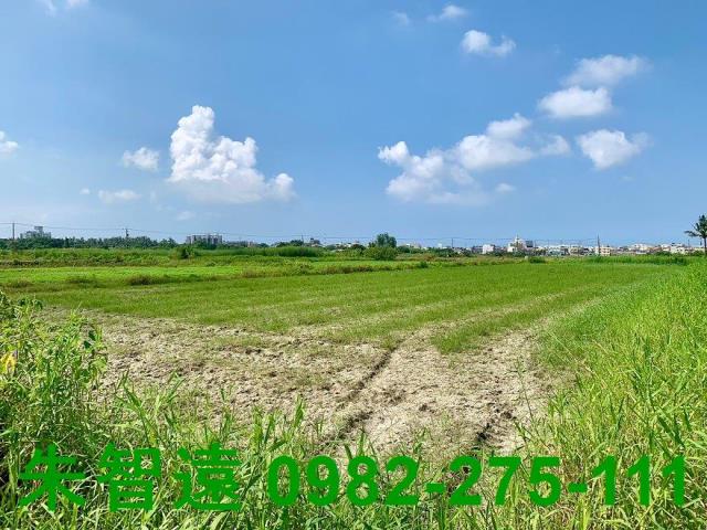 高雄湖內農地-2