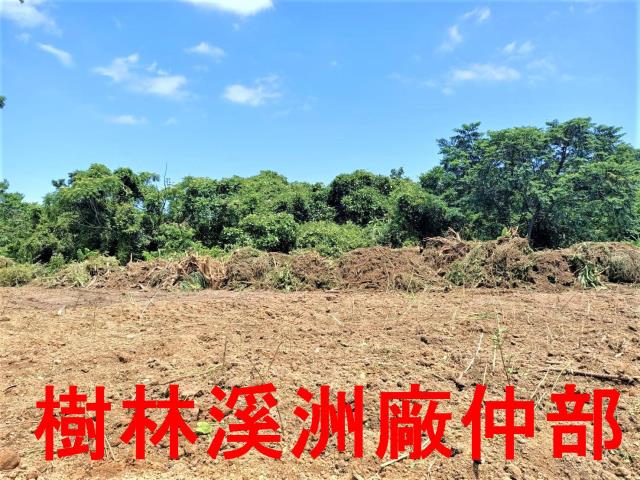 新北石門農地-4