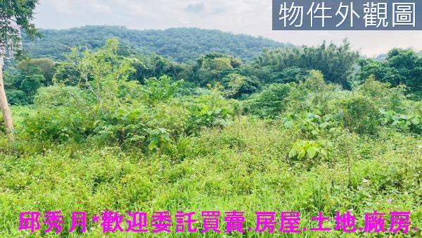 淡水農地-3
