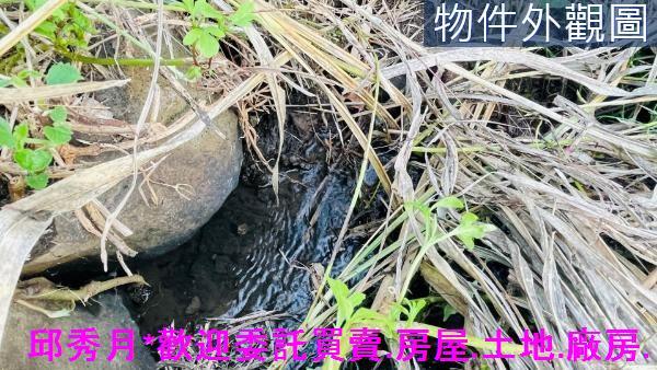 淡水農地-5
