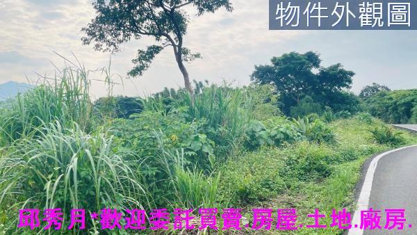 淡水農地-6