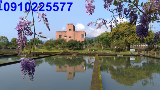 員山農地-3