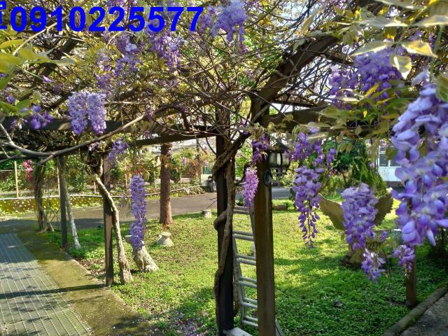 員山農地-8
