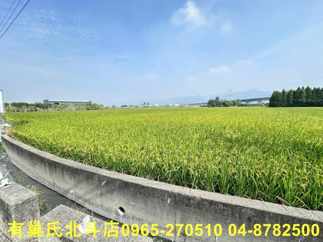 彰化社頭農地-10