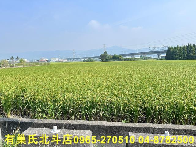 彰化社頭農地-7