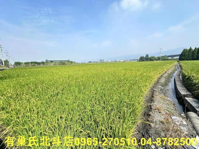 彰化社頭農地-8