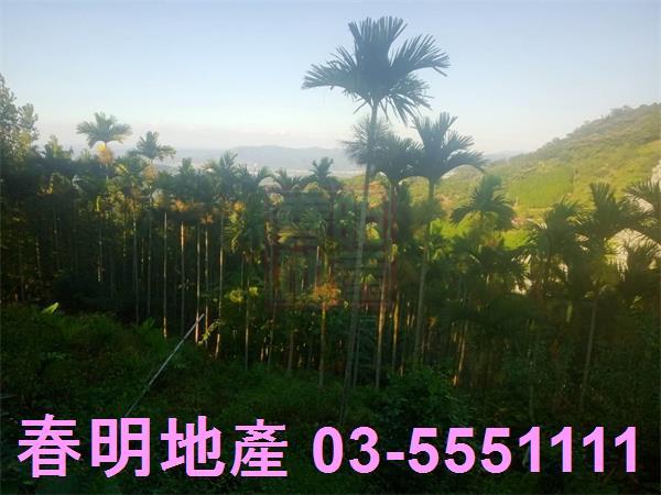 北埔農地-11