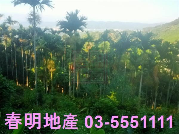 北埔農地-9