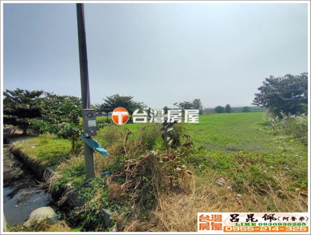 口湖農地-3