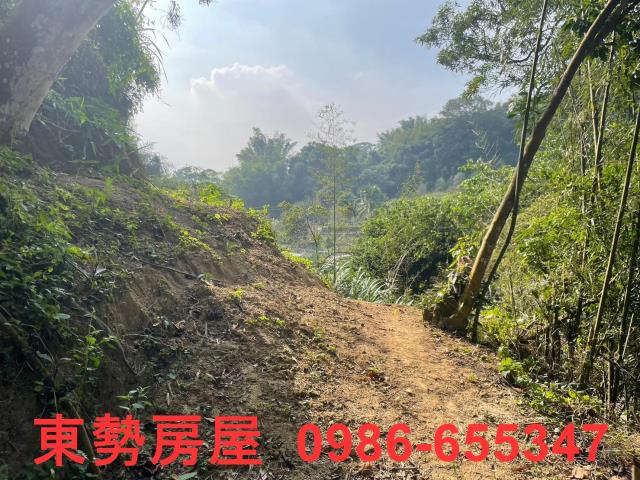台中東勢農地-4