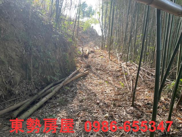 台中東勢農地-6