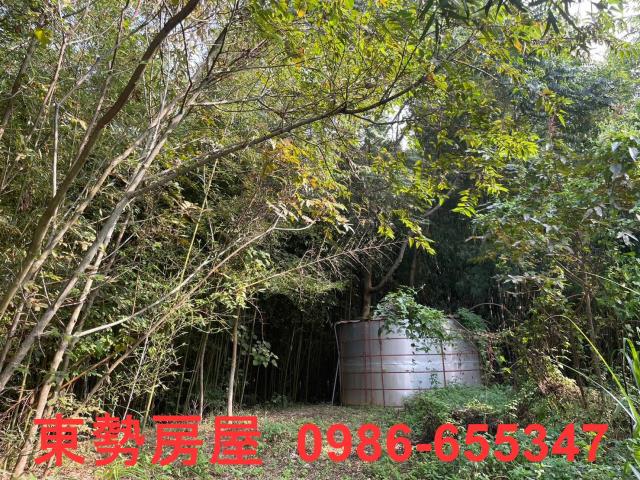 台中東勢農地-8