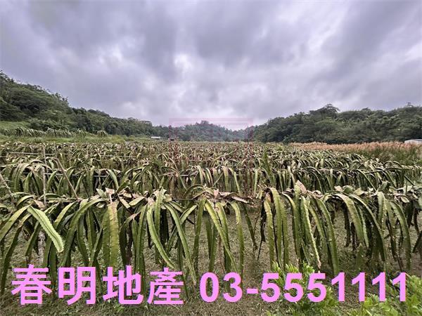 新竹農地-2