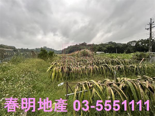 新竹農地-6