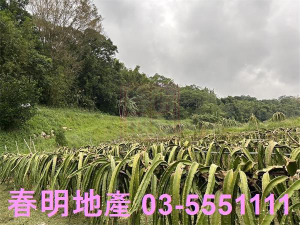 新竹農地-7