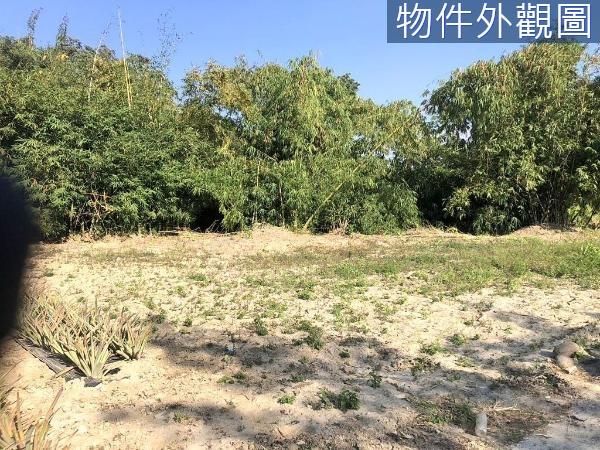 台南關廟農地-2