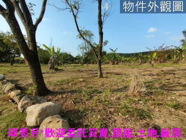 新北三芝農地-5