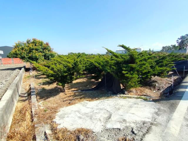 彰化埔心農地-5